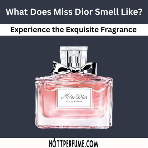 perfumes parecidos a miss dior|what does Miss Dior perfume smell like.